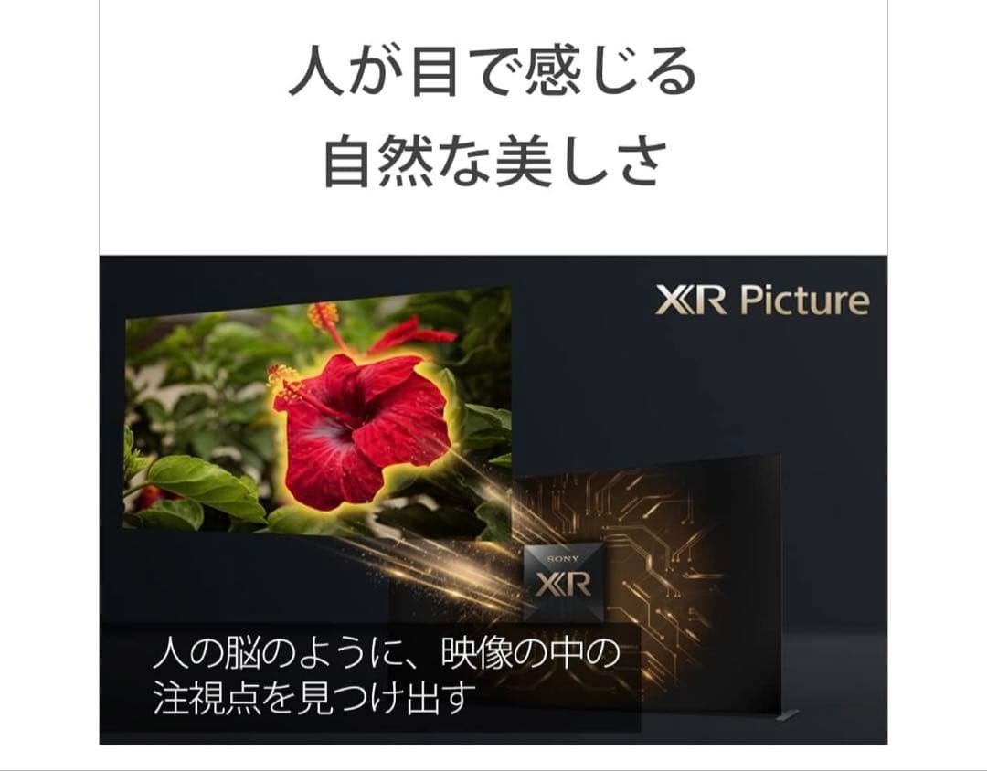 【ブルー】SONY 2021年製 65型 XRJ-65A90J