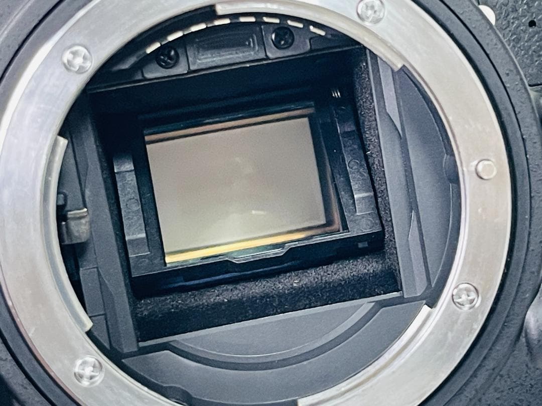 Nikon D7000 ニコン ボディ デジタル一眼レフ 名機 動作確認済み