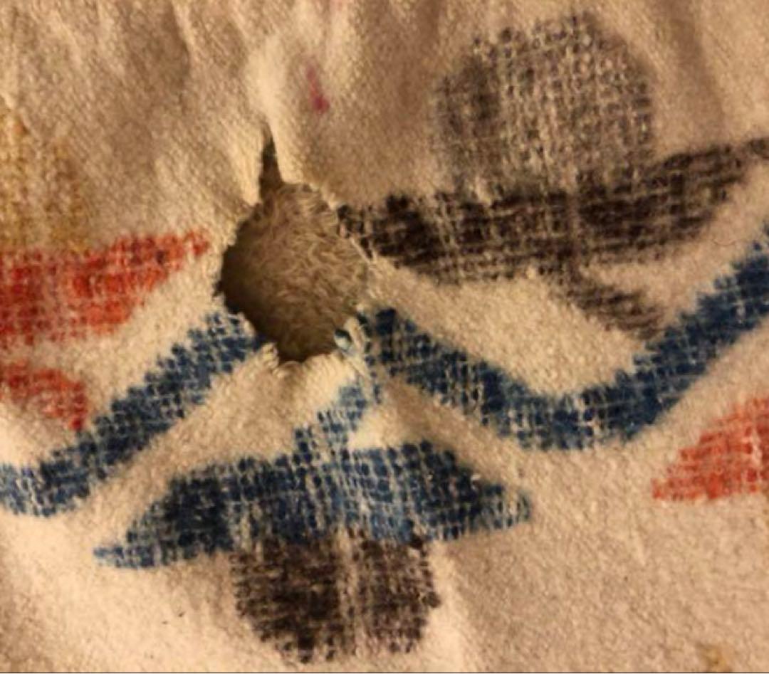 ACME マルチカバー　ソファーカバー　ビンテージ　186×166