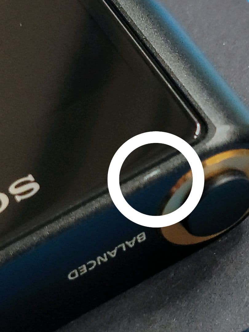 SONY WALKMAN NW-WM1A + 純正本革ケース