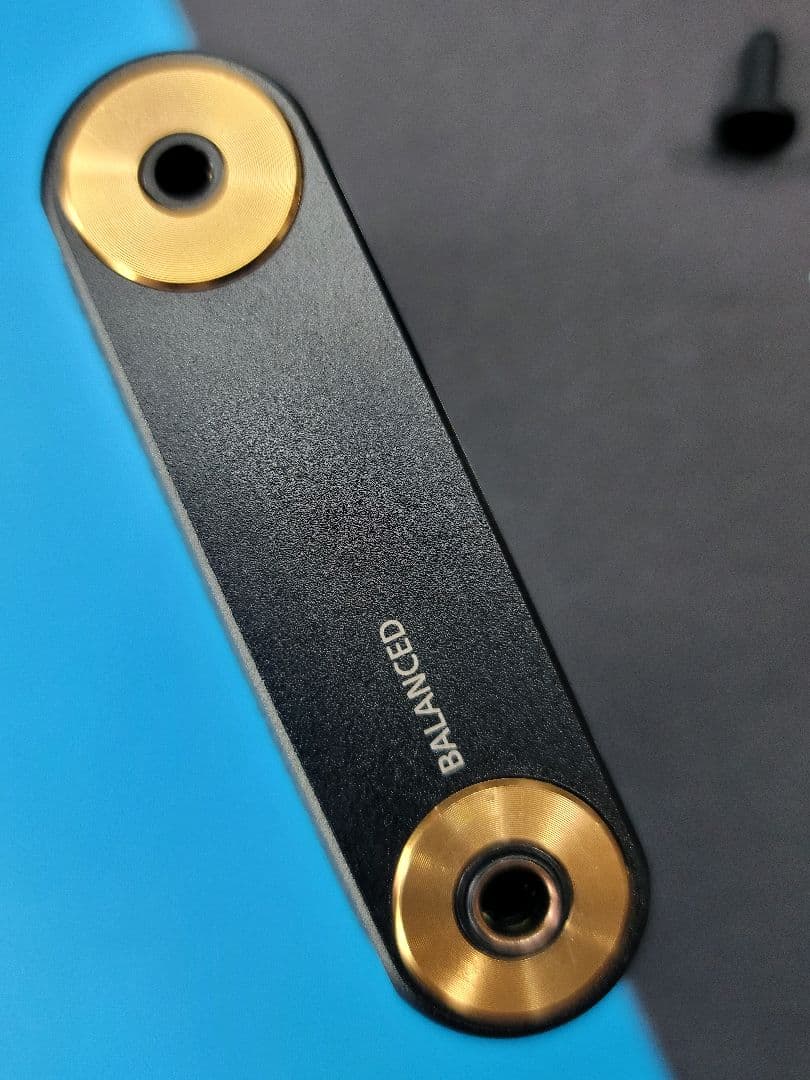 SONY WALKMAN NW-WM1A + 純正本革ケース