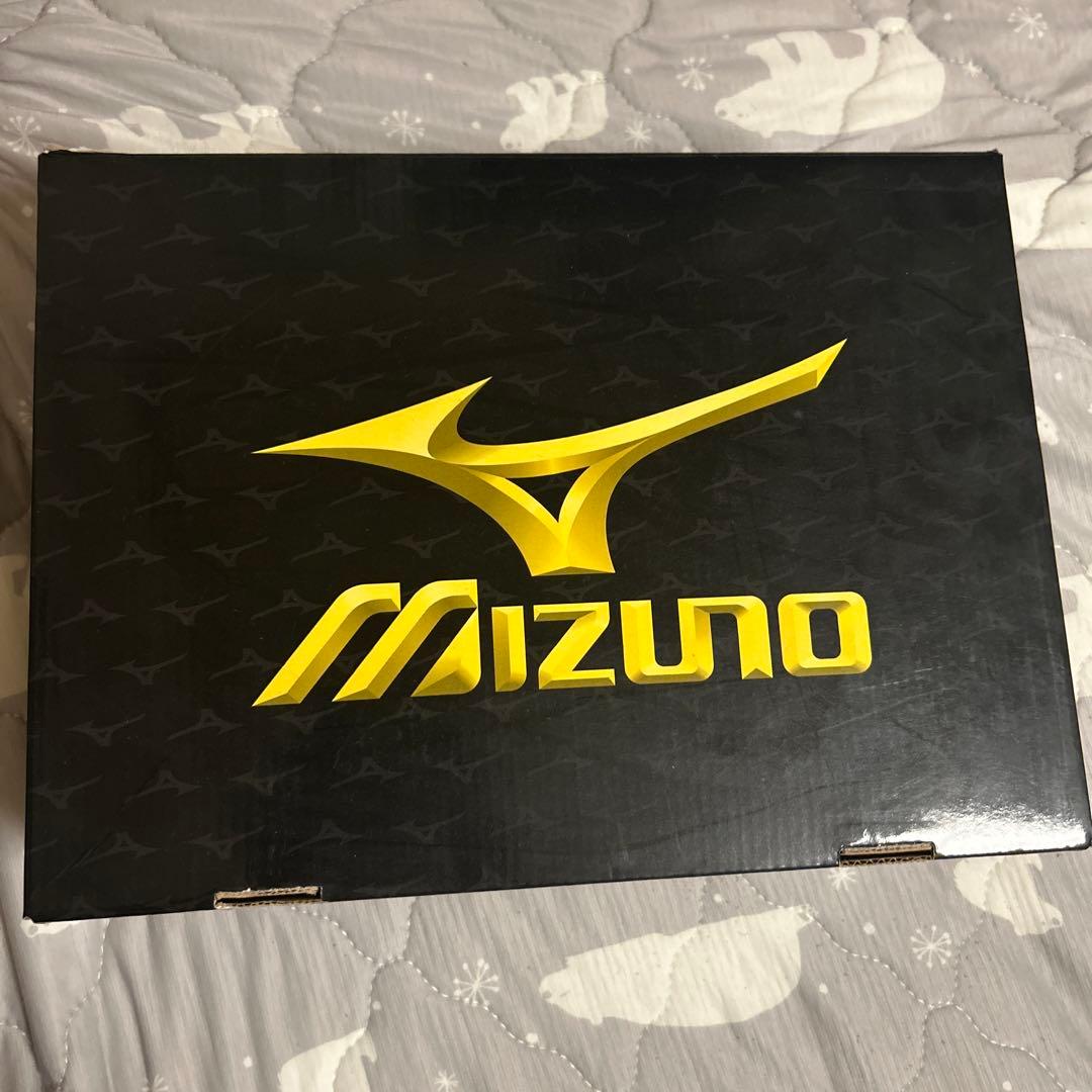 ミズノプロ　野球スパイク　27cm