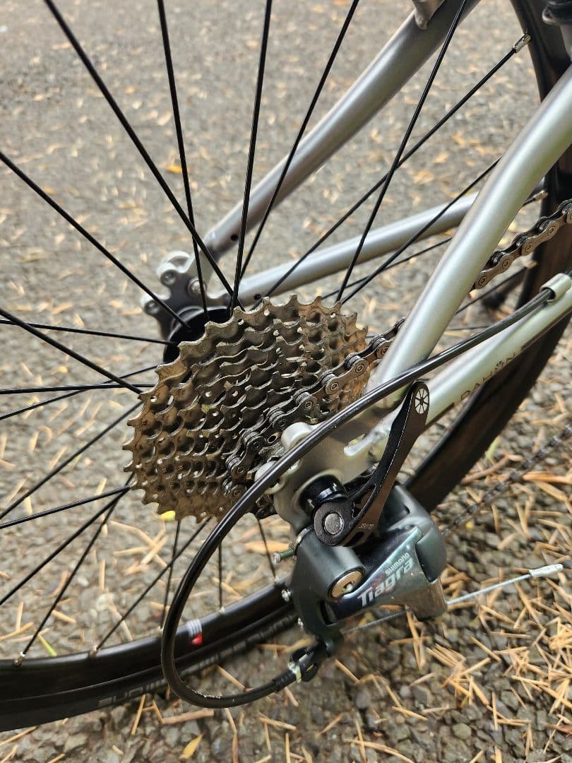 DAHON スピードファルコ　カスタム　マットシルバー