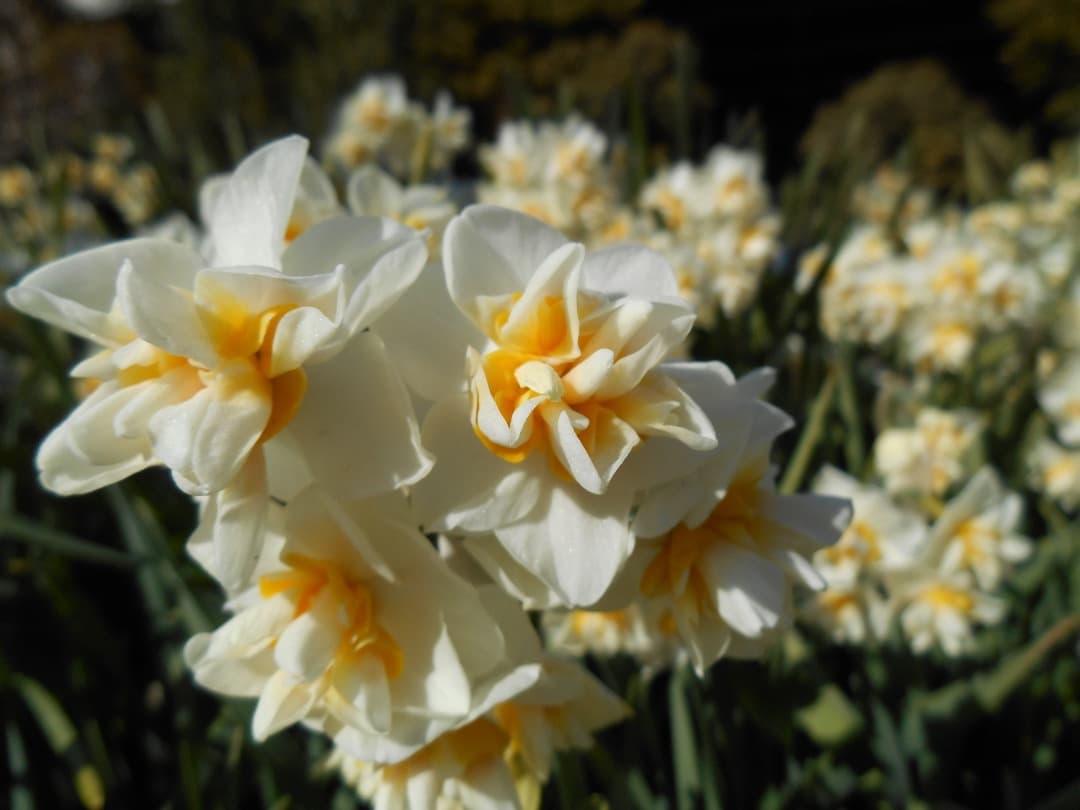 実写美⭕️【動作確認済】Nikon COOLPIX S3500 ブルー　デジカメ