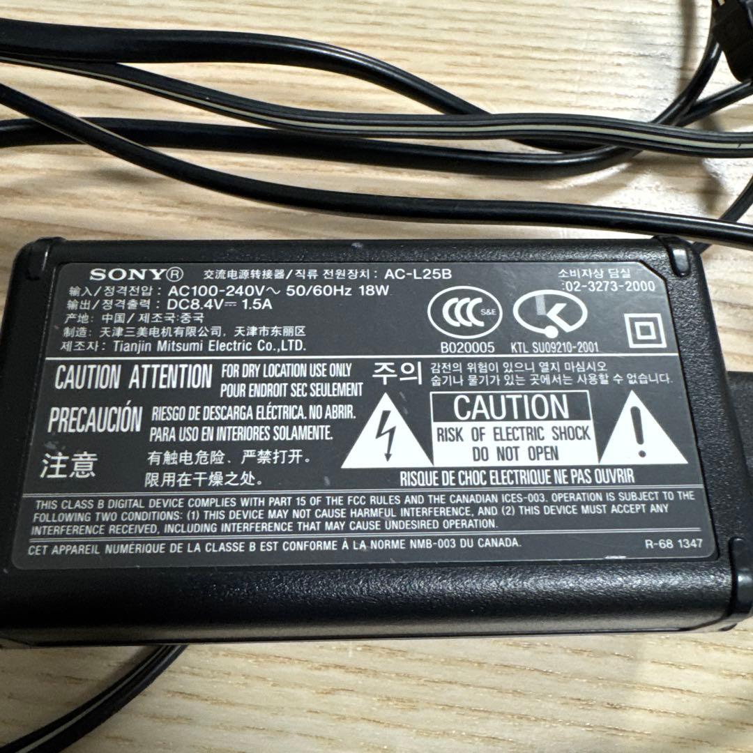 SONY 4K ビデオカメラ FDR-AX45