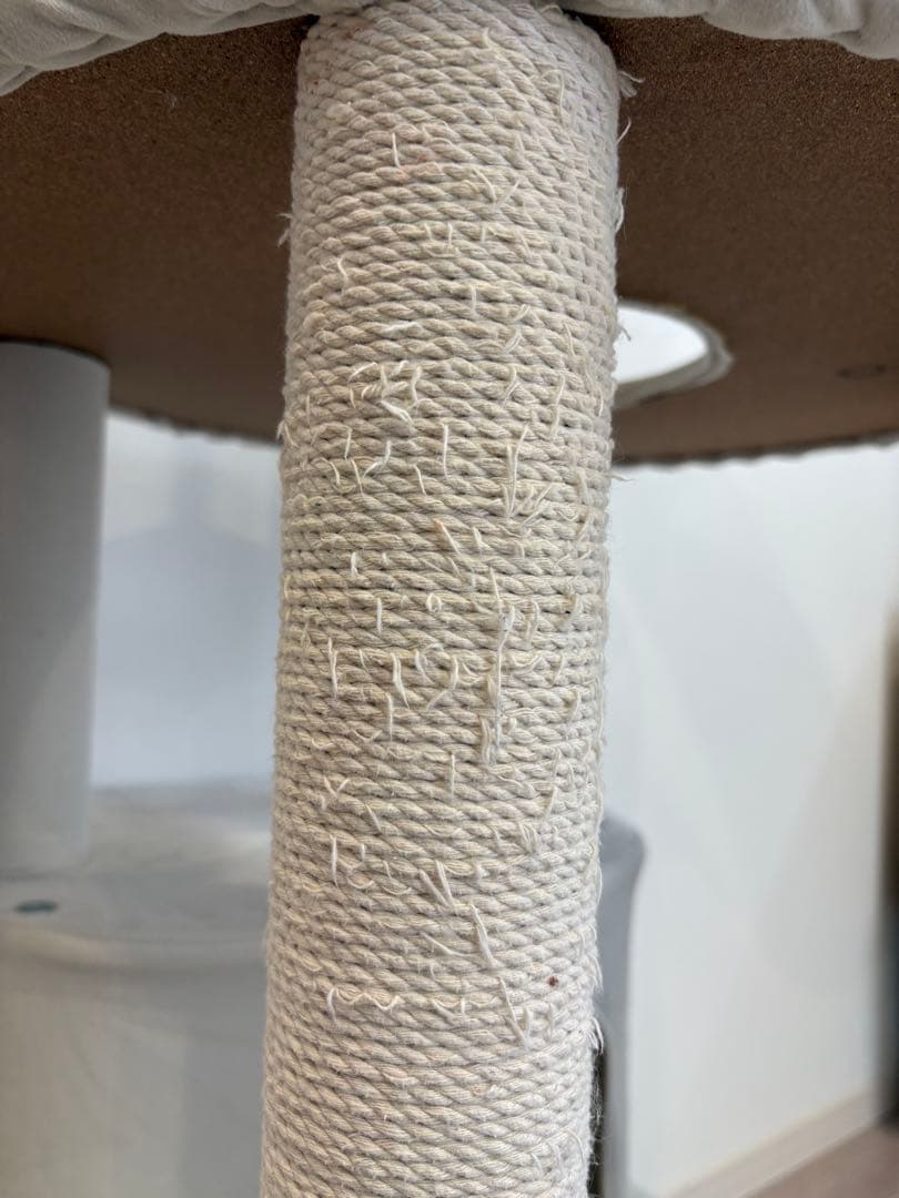 MWPO モロ キャットタワー 170cm