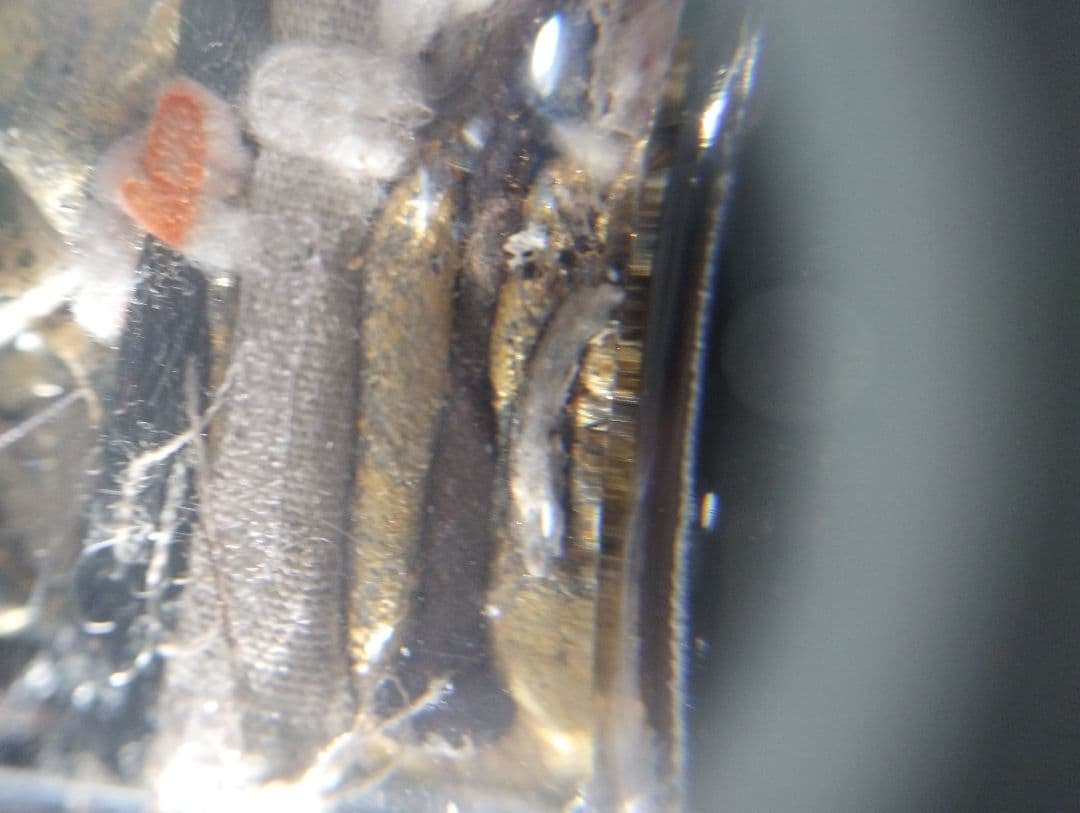 Mae She Shuan　精霊信仰　霊能力者の女性精霊　人縁　恋愛　金運の為