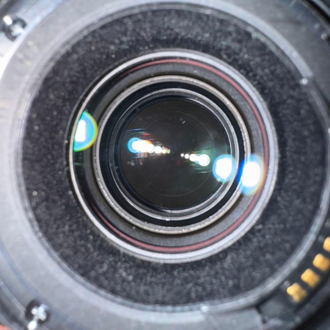 レンズ(単焦点) Canon EF 100mm macro