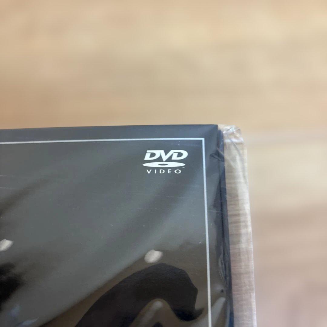 まんぐーKIM NAM GIL FANMEETING DVD キムナムギル