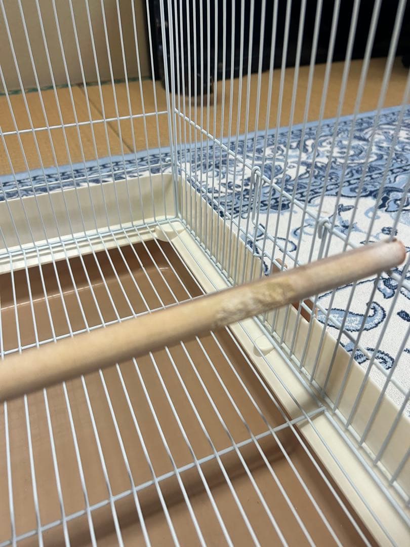 鳥かご　SANKO サンコー　イージーホーム　セット　モモンガ