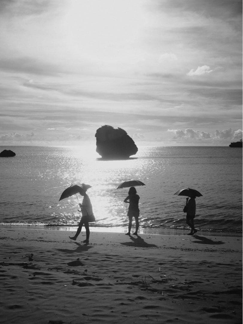 レンズ(単焦点) Leitz summicron50mm2.0 1st Thorium