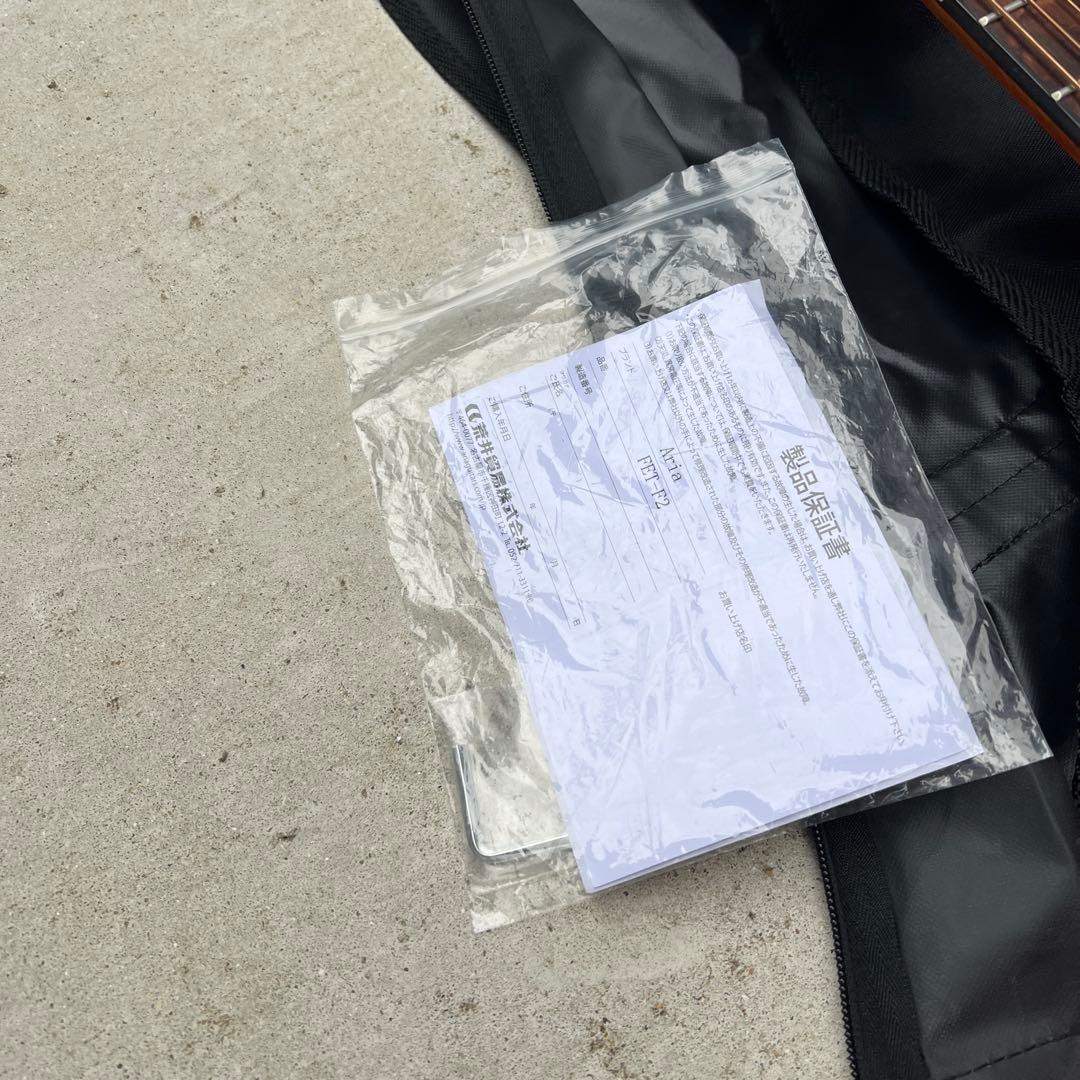 ARIA FET-F2　/アリア　エレアコ