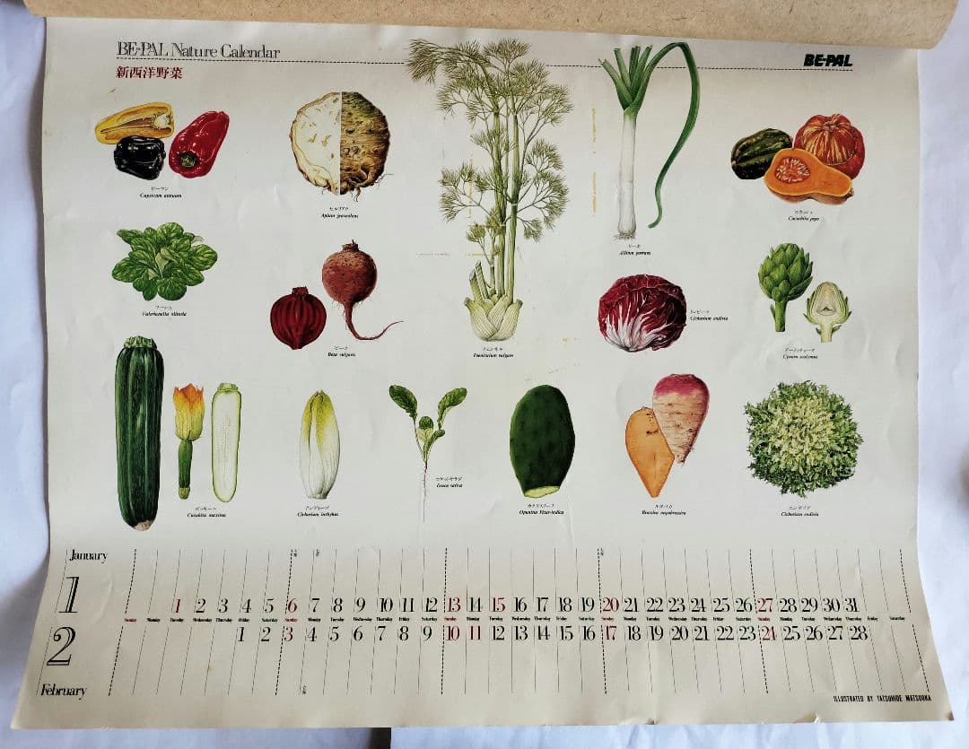 BE-PAL ビーパル カレンダー 新品未使用 1991年植物編 ヴィンテージ