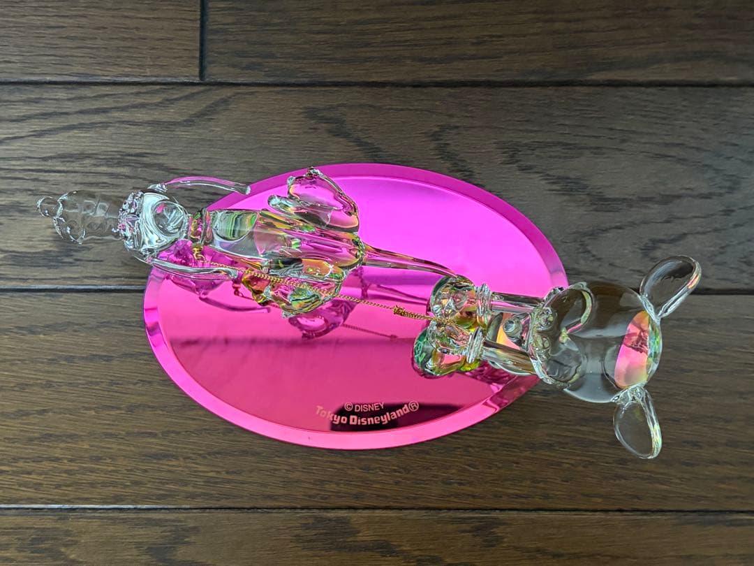 東京ディズニーランド　MICKEY & PLUTO Running