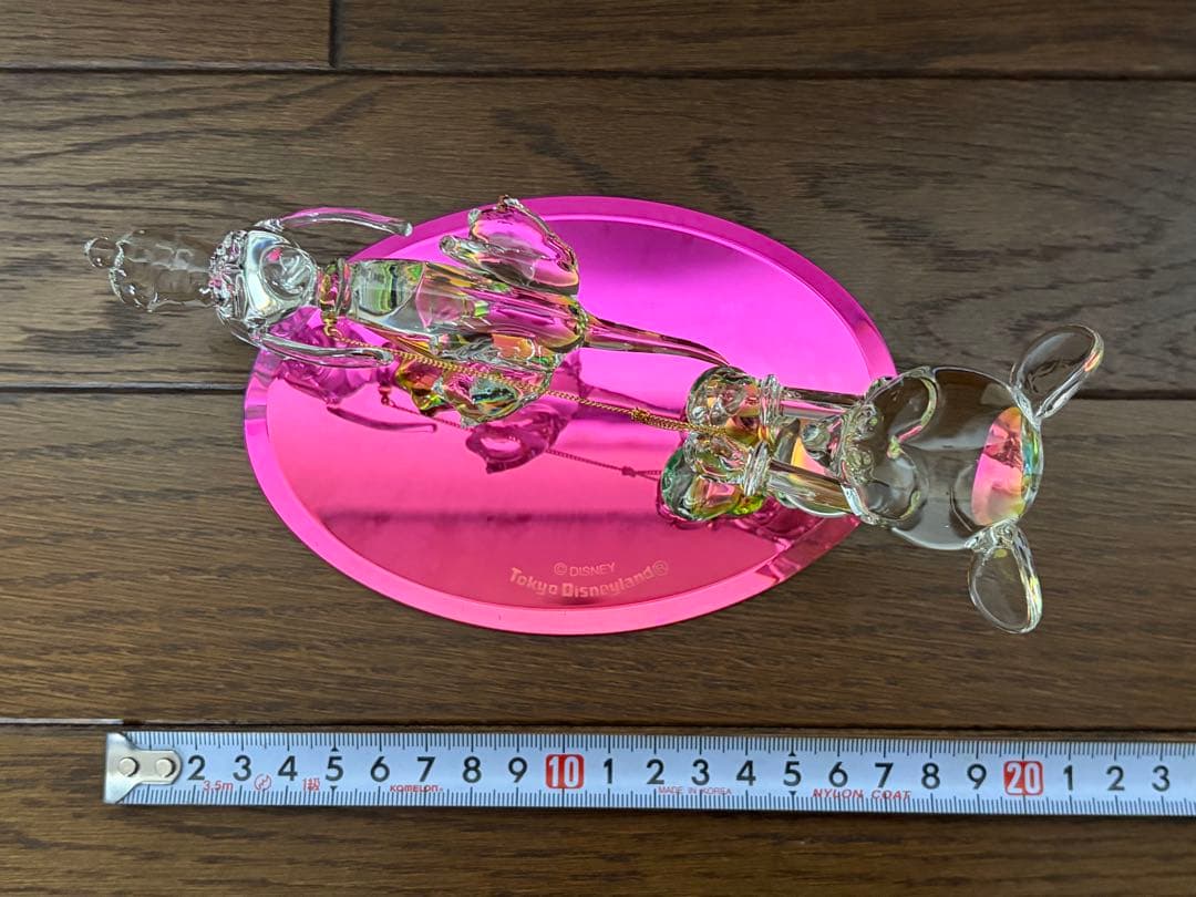 東京ディズニーランド　MICKEY & PLUTO Running