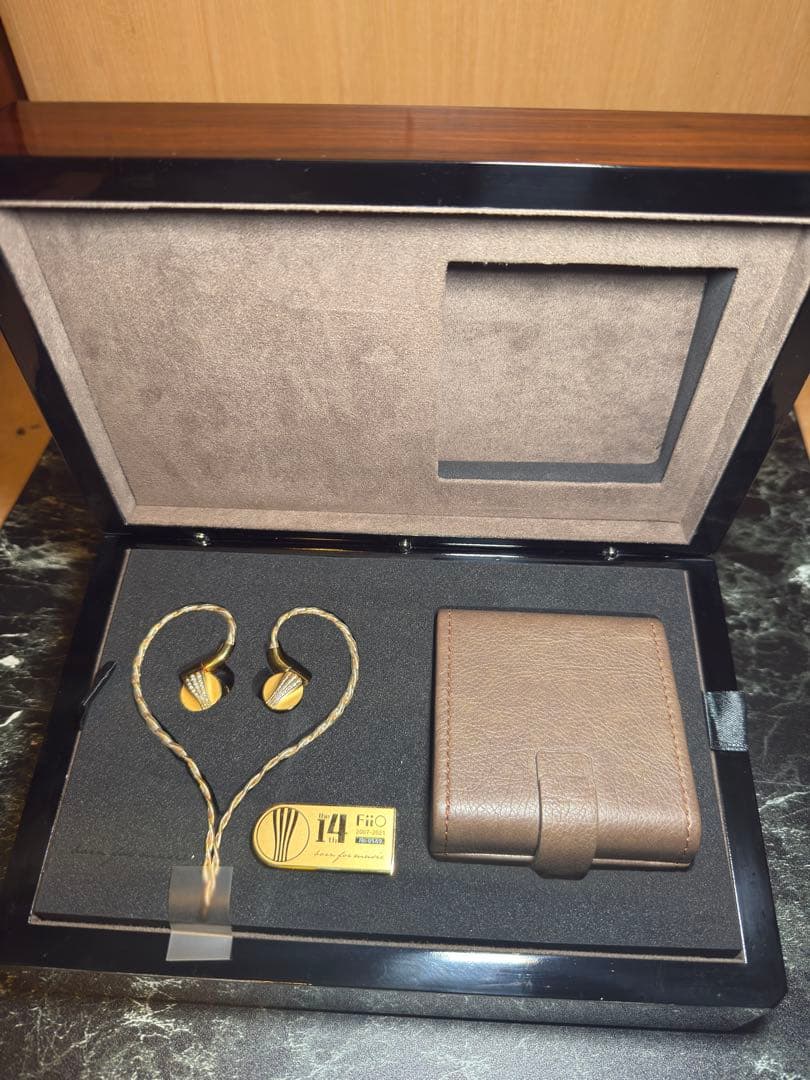 fiio インイヤー型イヤホン FDX