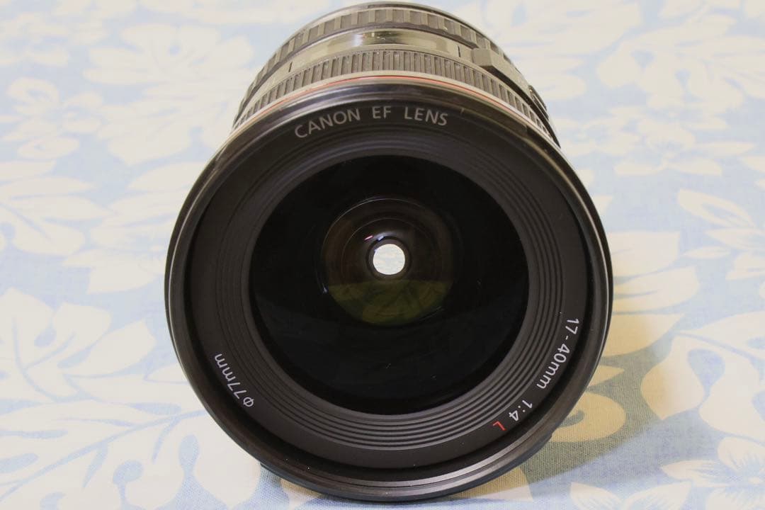 Canon EF 17-40mm f/4L とEF-EOSRセット