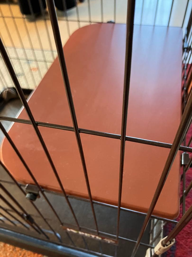 ボンビアルコン　ウッドワンサークル　キャット　ミニ　3ヶ月使用