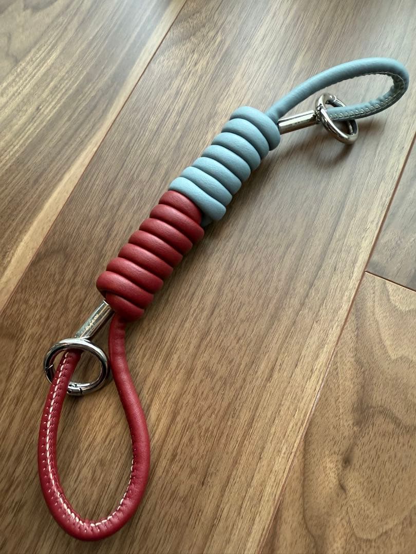 iPhone16Pro用　エジュー　iPhoneケース&ストラップ　値下不可