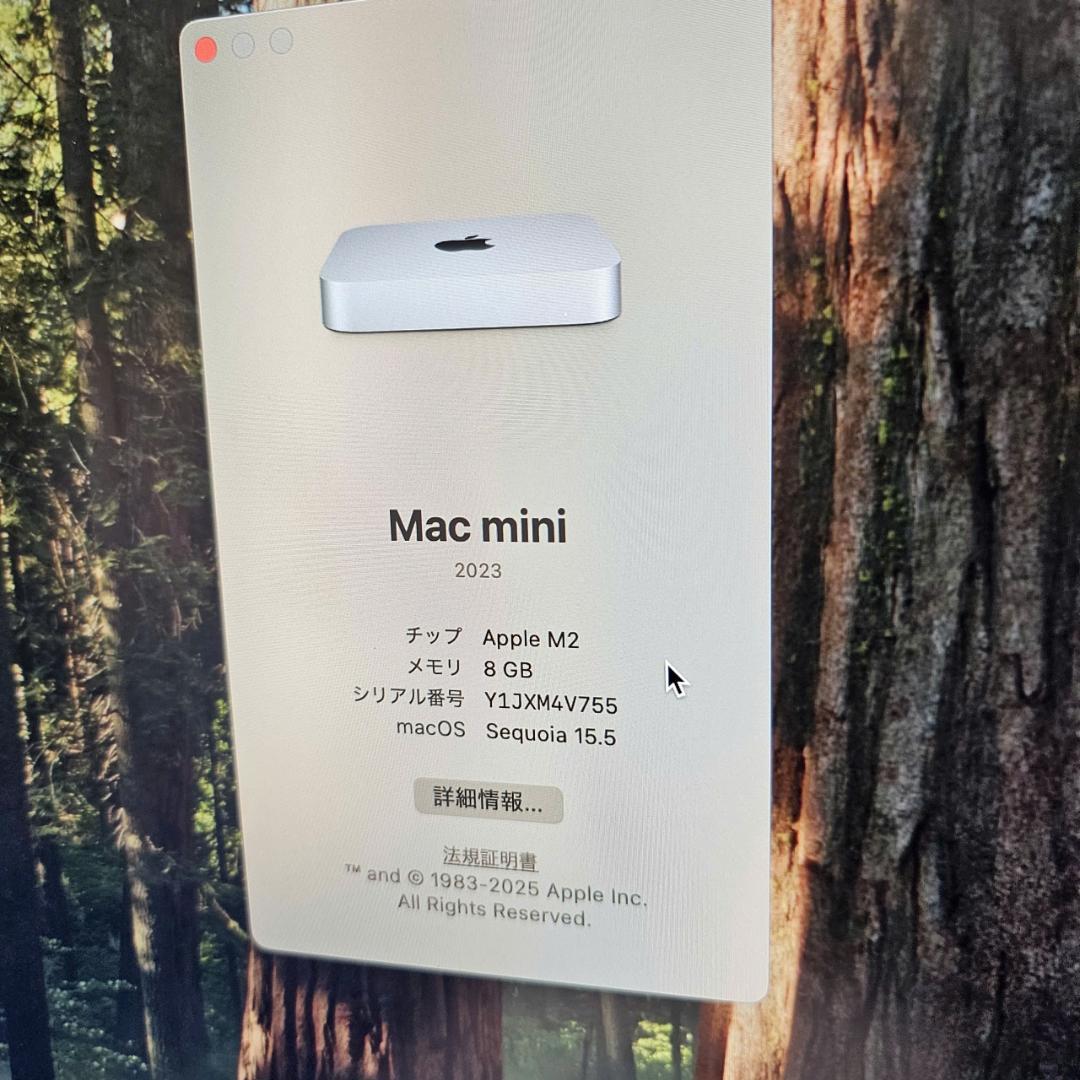 Macデスクトップ Mac mini 2023 M2 8GB 256GB