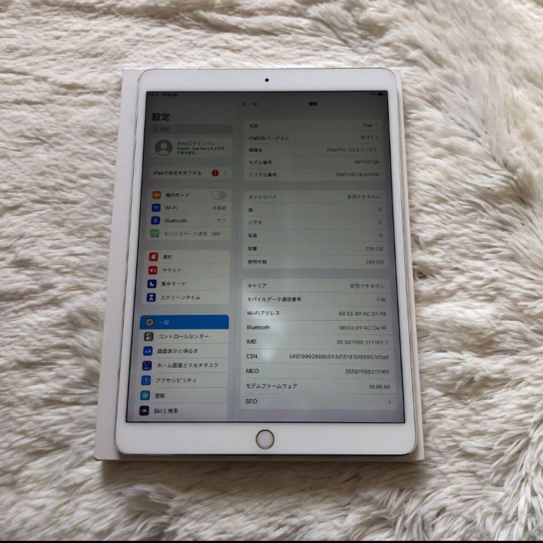 【完動品】iPad Pro 10.5 256GB SIMフリー【付属品】