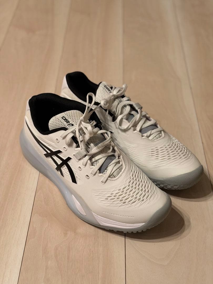 asics GEL-RESOLUTION X OC オムニ クレー 28.0cm