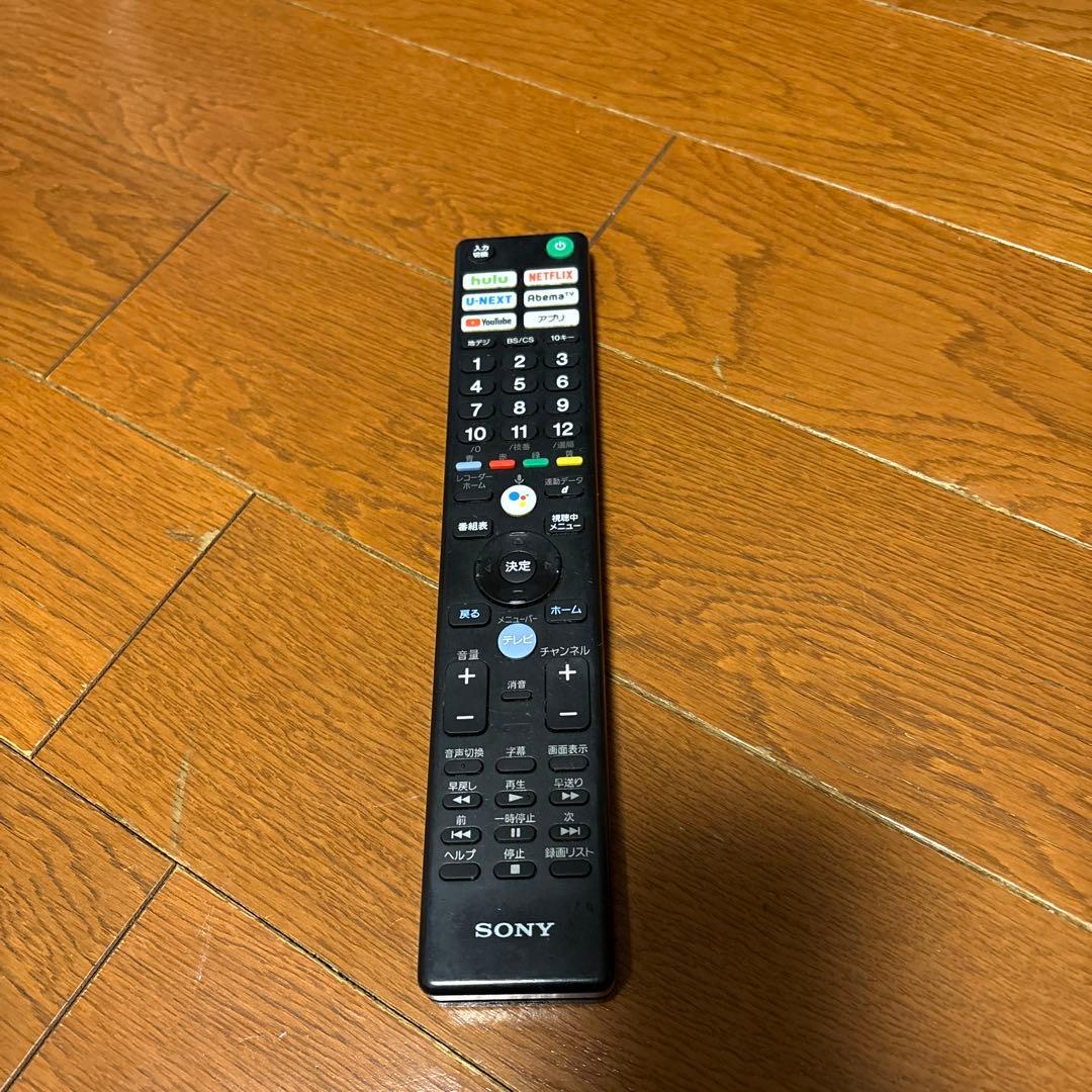 ピスタチオ　SONY BRAVIA 4K 55型　TV