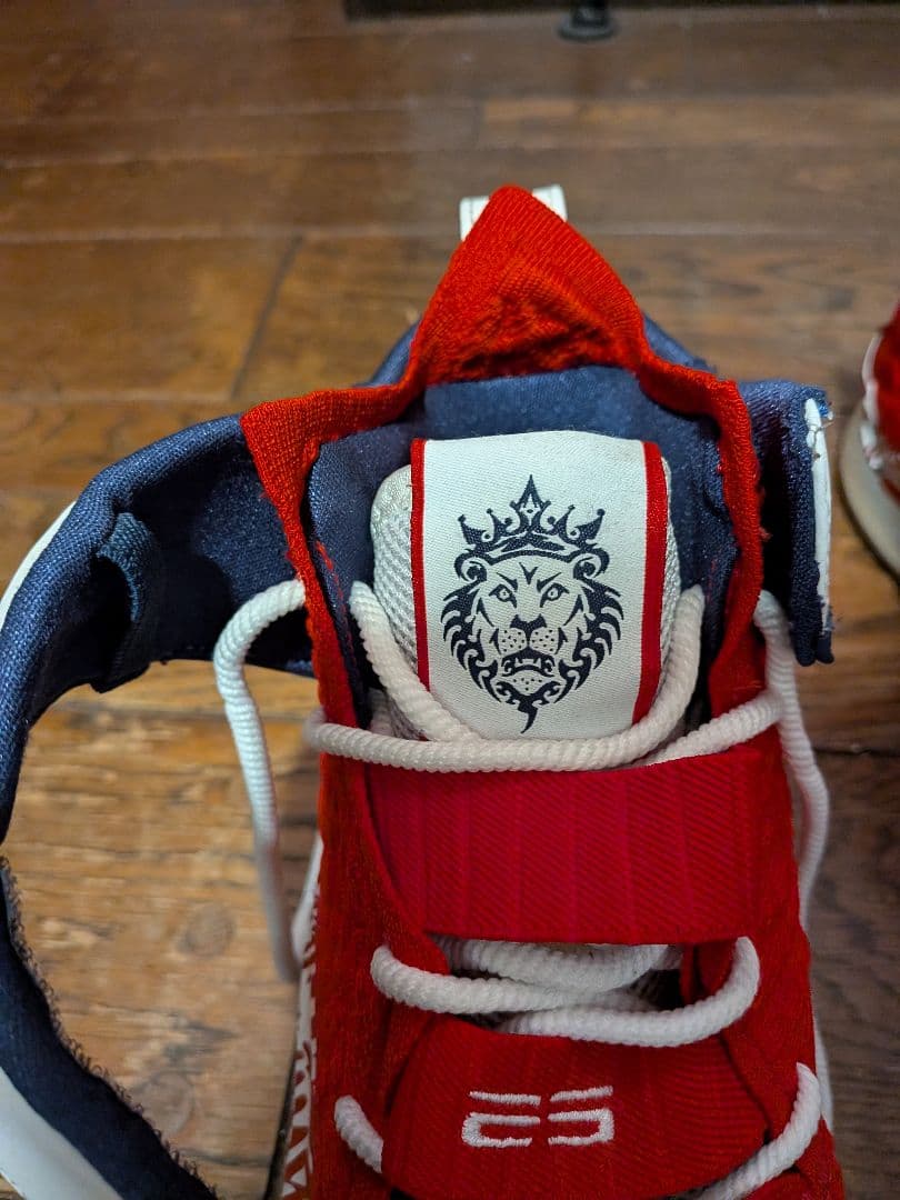 ナイキ バスケットボール レブロン 17 FP \"グラフィティーリミックス