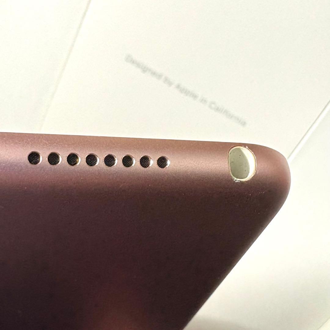 Apple iPad Pro 10.5インチ ローズゴールド 64GB カバー