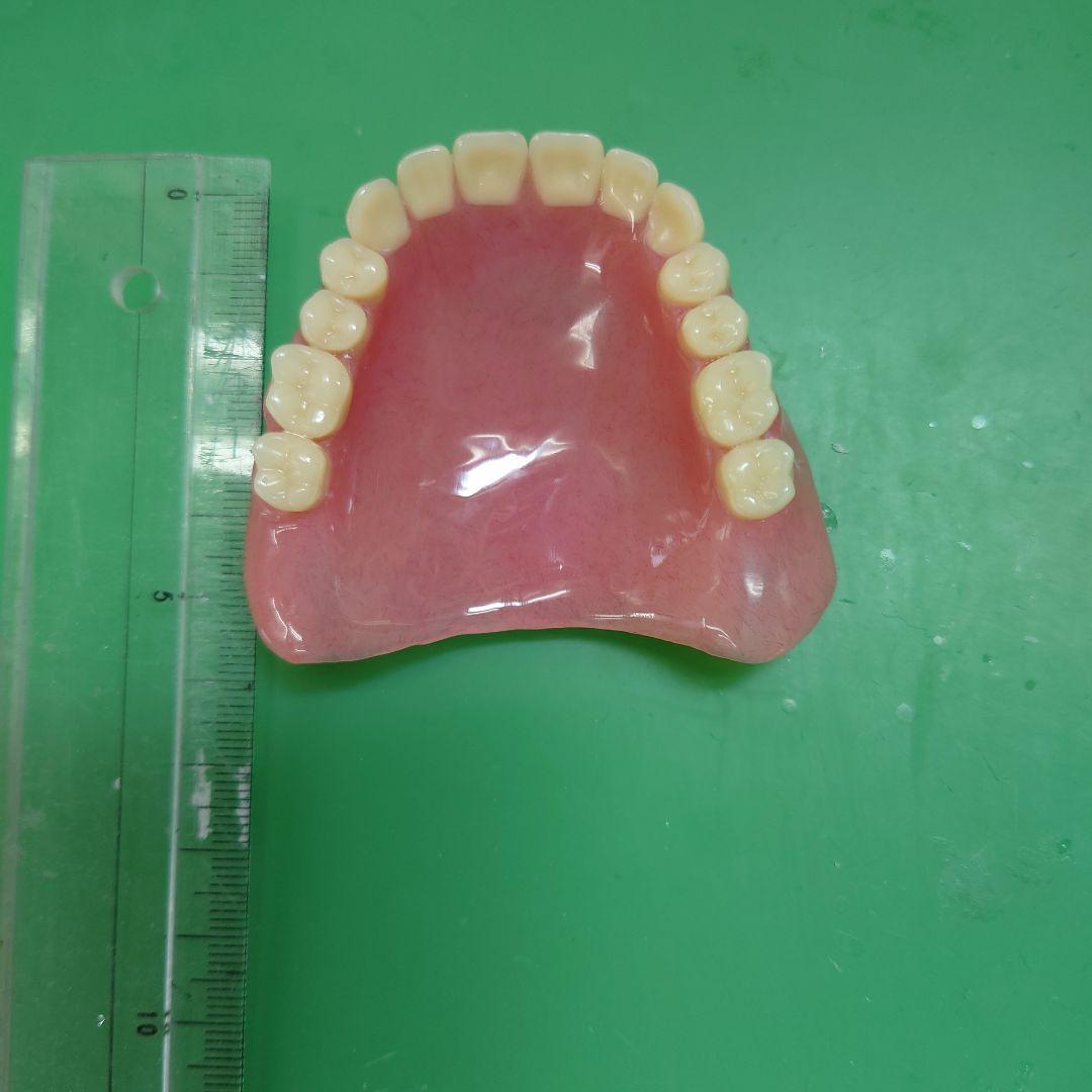 たむ　歯科技工　総義歯　5床