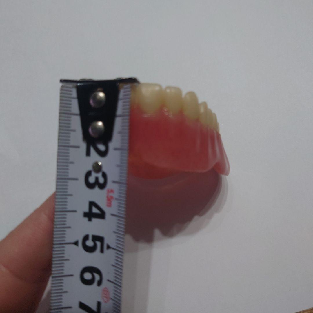 たむ　歯科技工　総義歯　5床