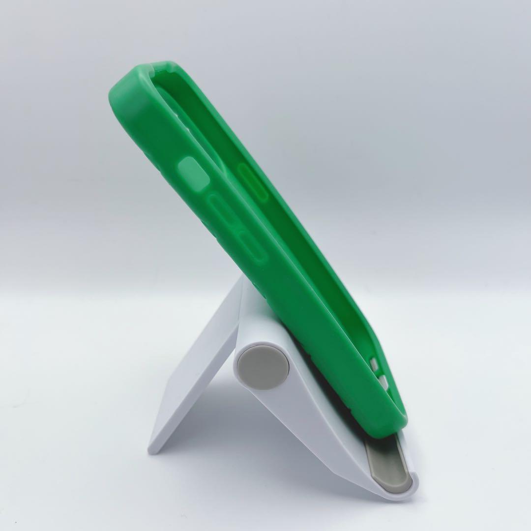 BOTTEGA iPhone16 pro用 イントレチャート パラキート