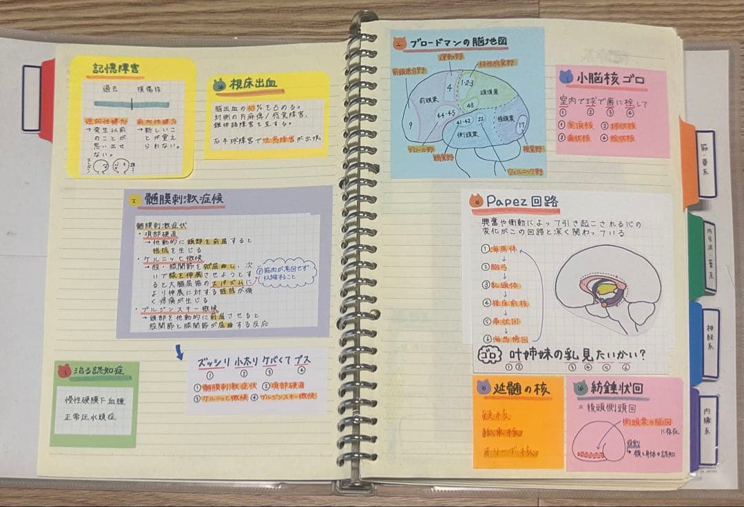理学療法士 作業療法士 まとめノート、ふせんノート 【コピー】
