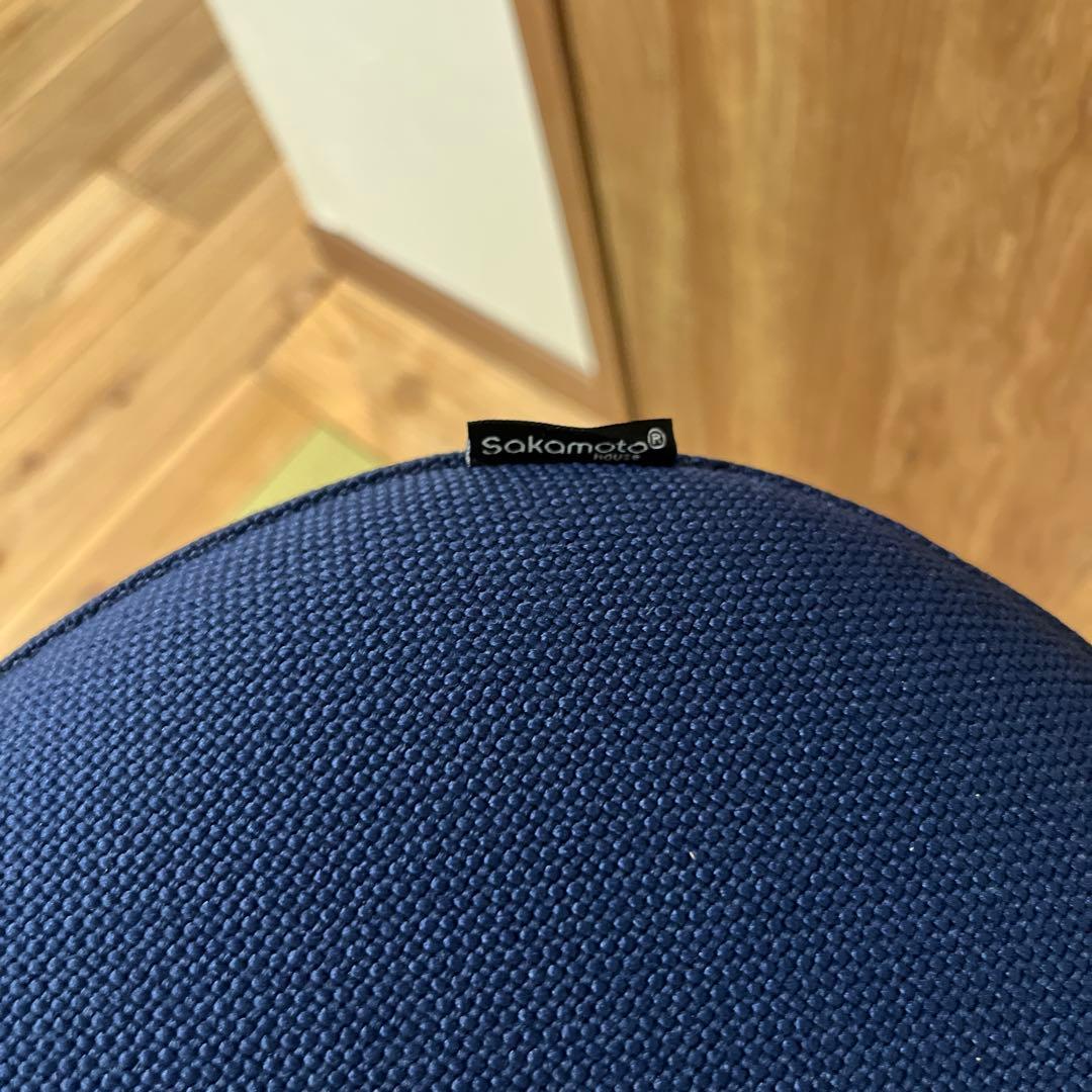 サカモトハウス バランスチェア イージー balans Easy【カバー付き】②