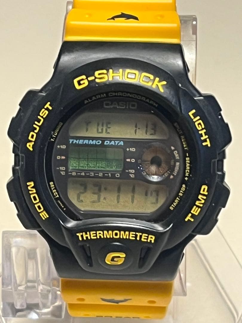 愛の戦士様　G-SHOCK dw-6100dw イルカクジラ