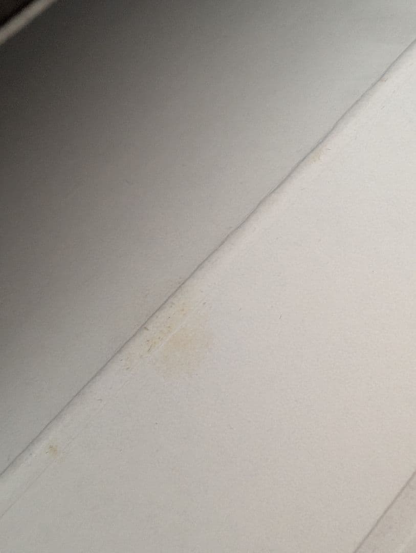 S*5様 シリアルナンバー 13番 ライカ、写真によるその歴史 ジェームス・L.