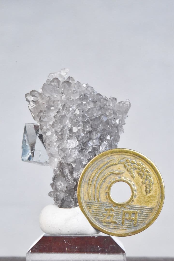 中国浙江省産 スモーキードゥルージークォーツと超透明なフローライトの共生