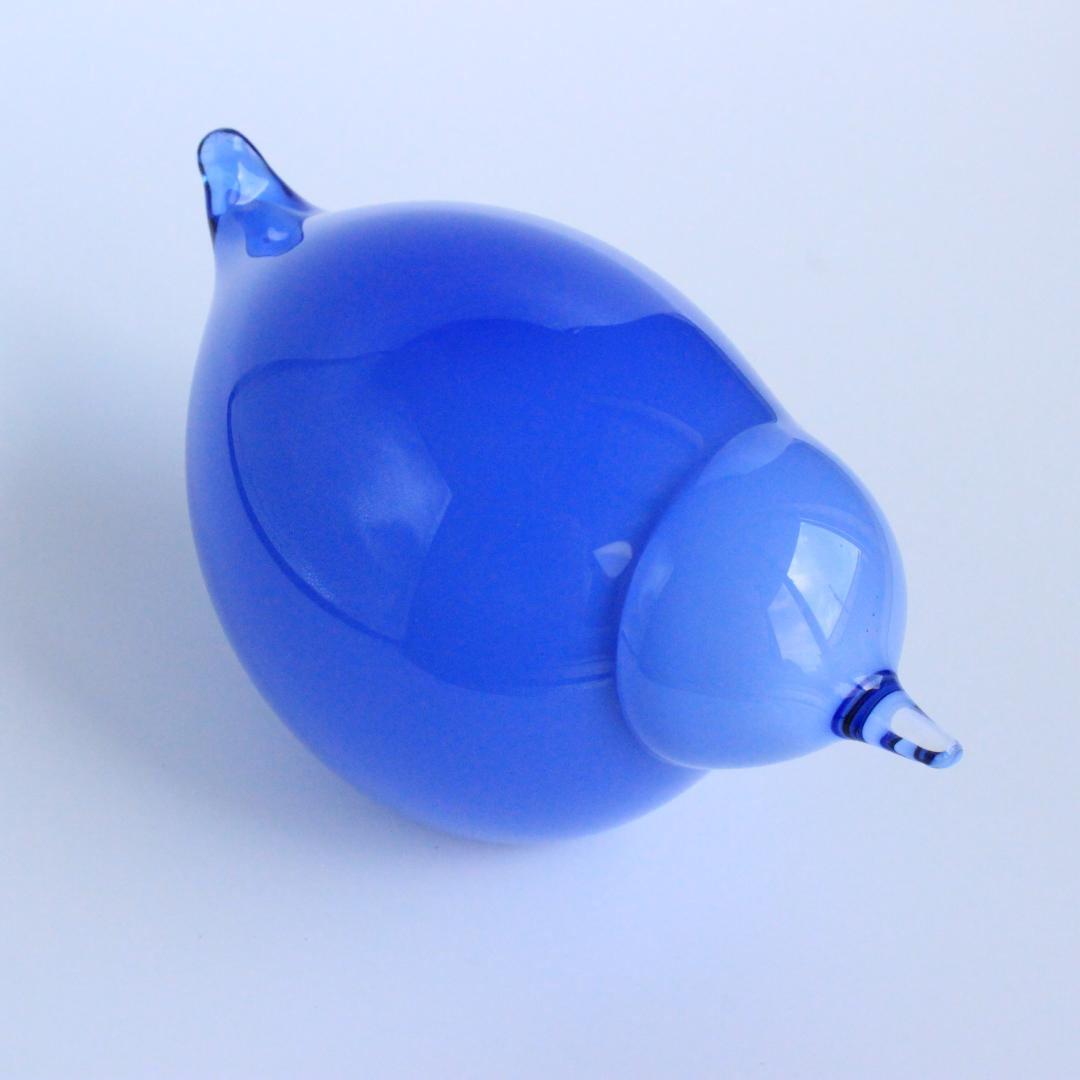 イッタラ/ヌータヤルヴ バード 2008 Suvisrri/Blue Stint