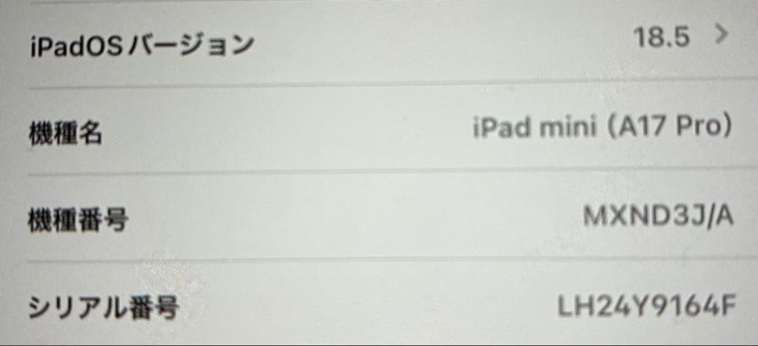 超美品 IPad mini 第7世代 A7pro 256GB 付属品完備