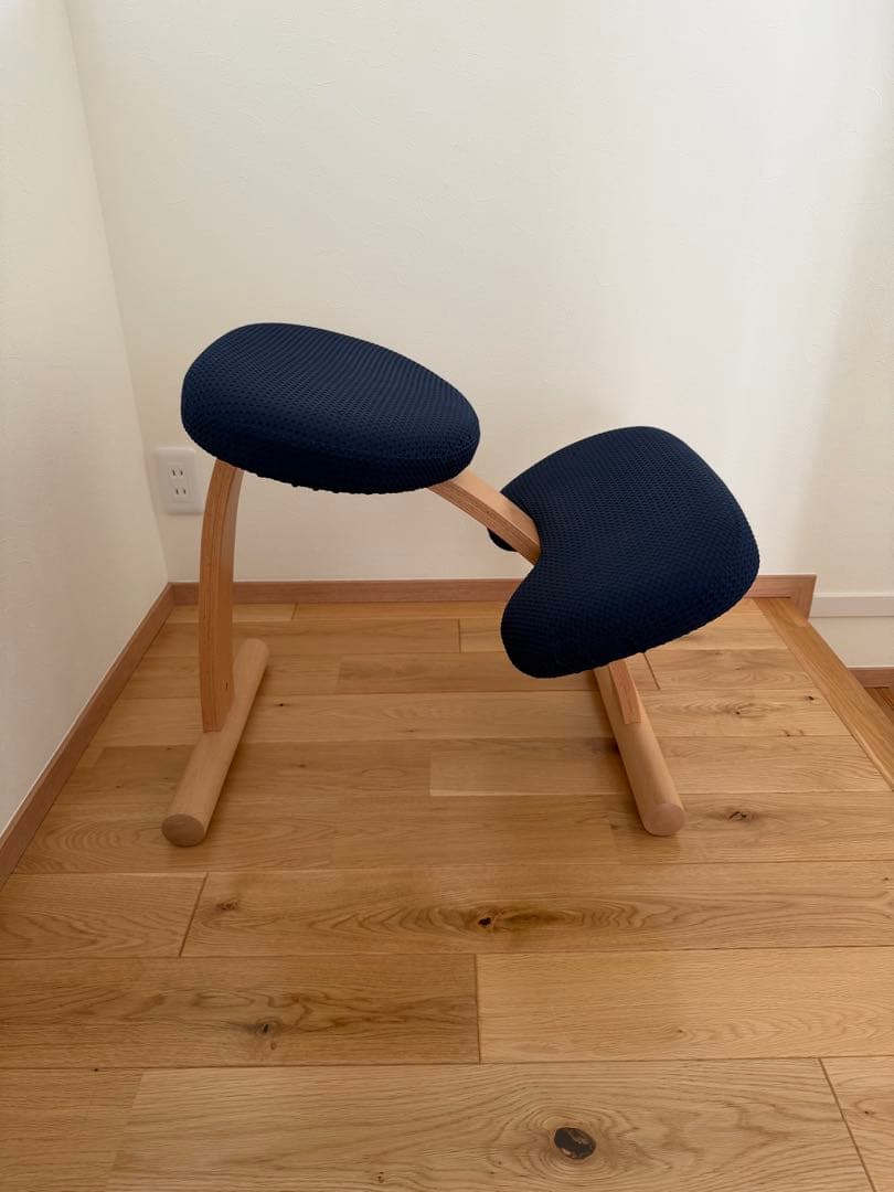 バランスイージー　ネイビー　がバー付き