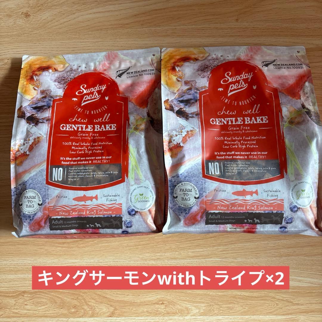 ジェントルベイクサーモン＋トライプ2袋 LION 歯磨きガム サンプル16点