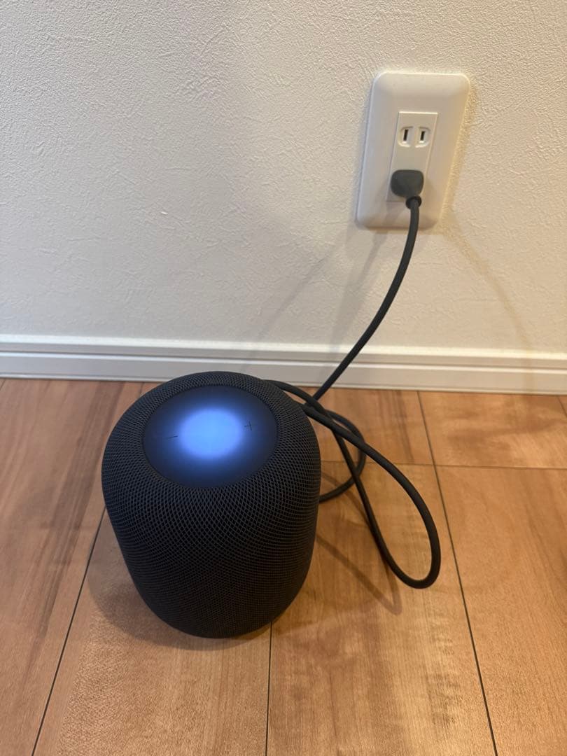 Apple Pod ミッドナイト 第2世代 諸注意ありにつき激安出品