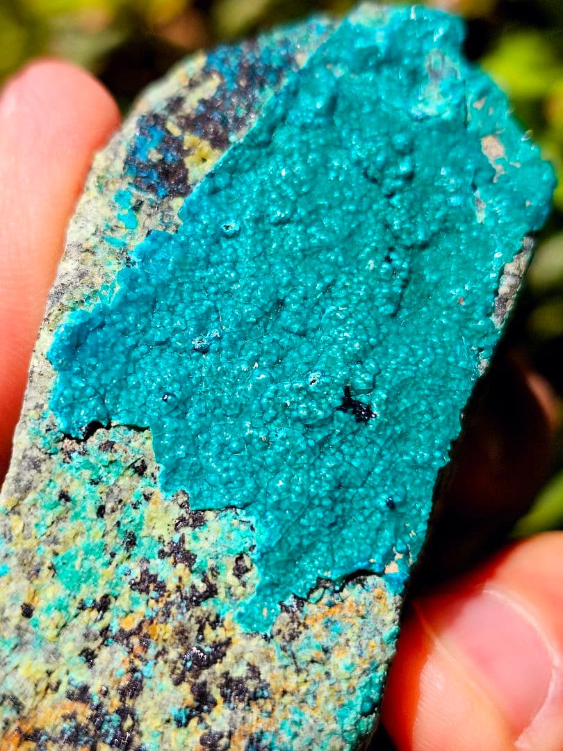 約100g以上あり‼️金運を呼ぶ‼️アメリカ産 クリソコラ 原石