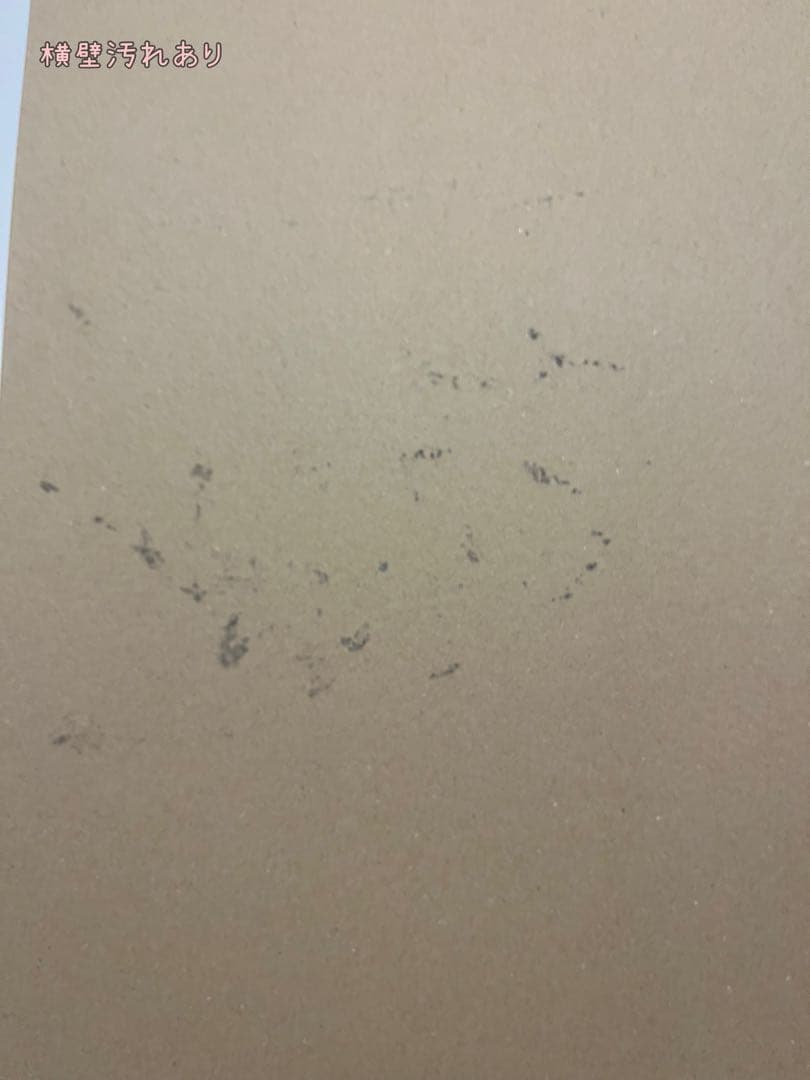 【あさ】だんぼっちグランデ　簡易防音室