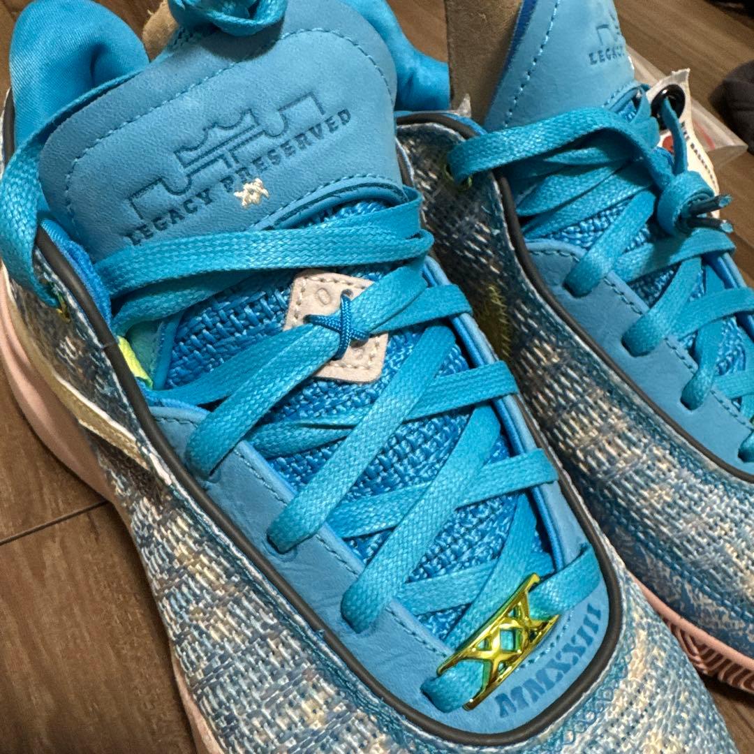 NIKE LEBRON XX ASW EP サイズ26.5cm 新品未使用