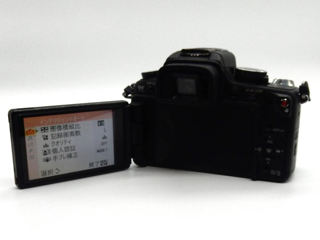 ★極上品★ Panasonic LUMIX DMC-GH1 14-45mm