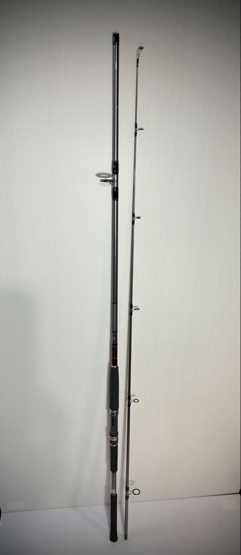 Daiwa ショアジギング