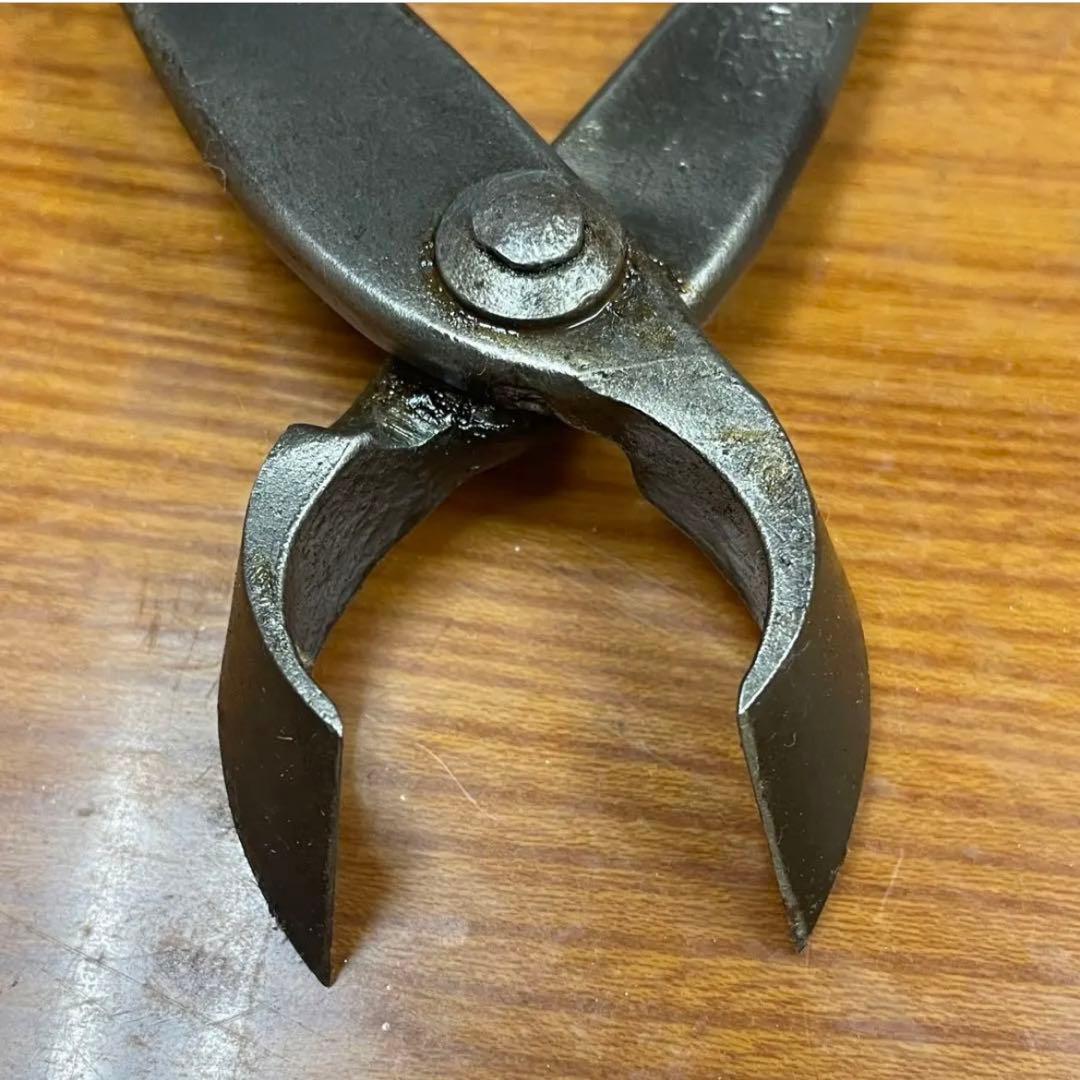 最高級 盆栽用具 昌国【特製】又切り鋏(約)214㎜ 240g