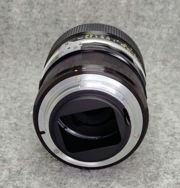 Micro-NIKKOR-P Auto55mm f/3.5　M2リング付
