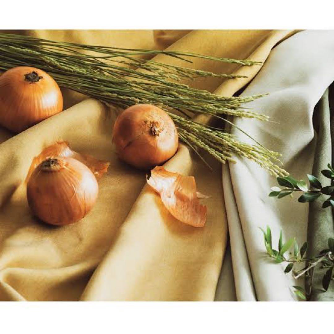 unico ECLE & ECLE LACE　オニオン　ライスエクリュ　カーテン